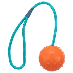 Rubber Ball with Throwing Handle